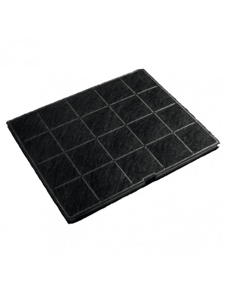 Filtro - AEG 902979876 Carbón