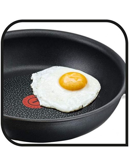 Sartén - Tefal Expertise 19cm
