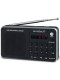 Radio Portátil - Sunstech RPDS32, Plata