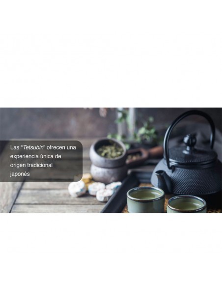 Tetera Hierro Fundido - Orbegozo... Tetera Hierro Fundido - Orbegozo...