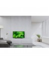 TV LED -  Sony KD32W800PAEP, 32 pulgadas, HD, Android, Negro