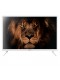 TV LED - Nevir NVR-7710-32RD2, 32 pulgadas, HD, TDT2, Blanco