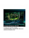 TV OLED - Samsung QE65S95B, 65 pulgadas, UHD  4K, IA, HDR, Dolby Atmos