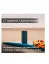 Altavoz Portátil - Sony SRS-XE300, Bluetooth, 24h de batería, Bluetooth, USB-C, Gris