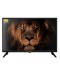 TV LED - Nevir NVR-8072-32HD2S, 32 pulgadas, HD Ready, SmartTV, Android 11.0