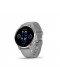 Smartwatch - Garmin Venu 2 Plus, Grey, 43mm