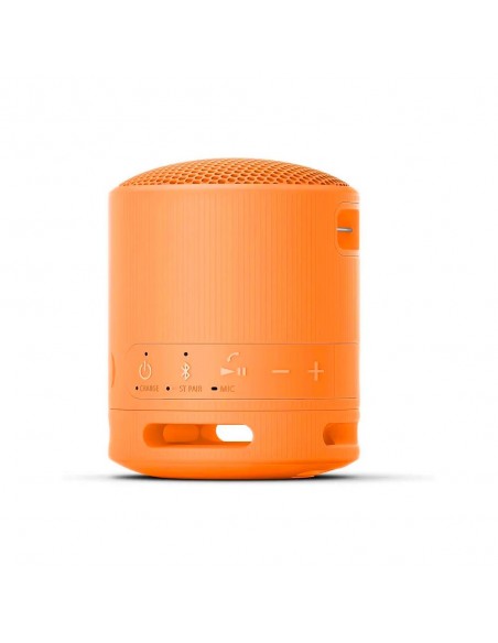 Altavoz Portátil - Sony SRS-XB100,...