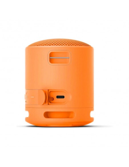 Altavoz Portátil - Sony SRS-XB100,...
