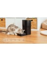 Dispensador Mascotas - CECOTEC Pumba 6000 Purrfect Meal Smart Vision, WiFi, Cámara