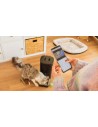 Dispensador Mascotas - CECOTEC Pumba 6000 Purrfect Meal Smart Vision, WiFi, Cámara