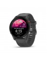 Smartwatch - Garmin  Forerunner 255, Slate Gray