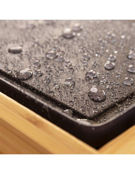 Plancha de Asar - Cecotec Tasty&Grill...