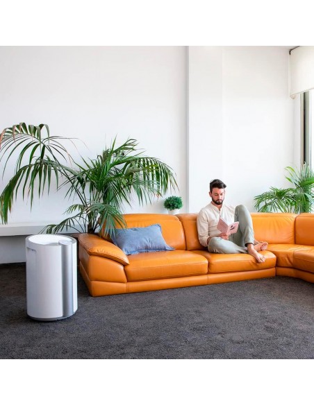 Deshumidificador - Cecotec Big Dry...