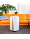 Deshumidificador - Cecotec Big Dry 9000 Professional Connected