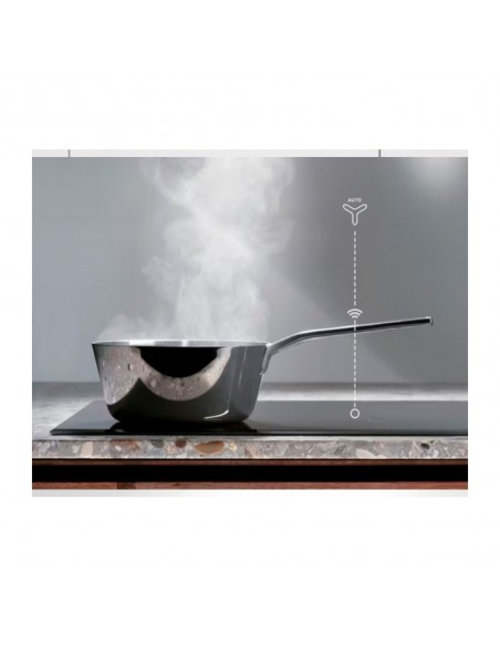 Campana Grupo Filtrante - Electrolux...