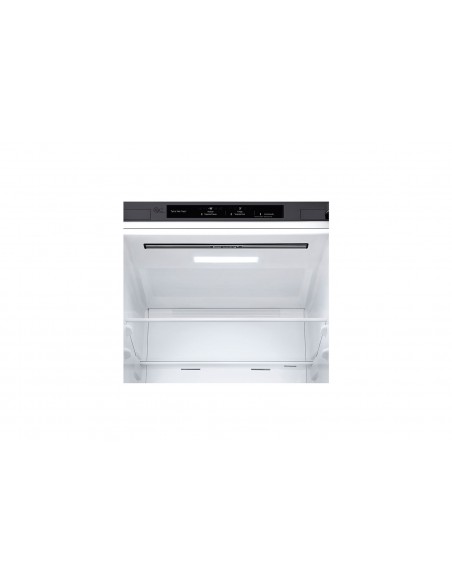 Frigorífico Combi - LG GBP32DSLZN,...