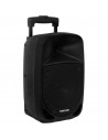 Altavoz Portátil - FONESTAR Malibu-308, Karoke, Micrófono