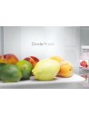 Combi Libre Instalación - CANDY CNCQ2T618EX, 1.85 m, Inox, No Frost, Eficiencia E