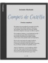 EBook y EReader - POCKETBOOK InkPad Eo Misty, Gris, 10,3" 4GB RAM