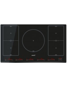Placa Flexinducción - CATA...