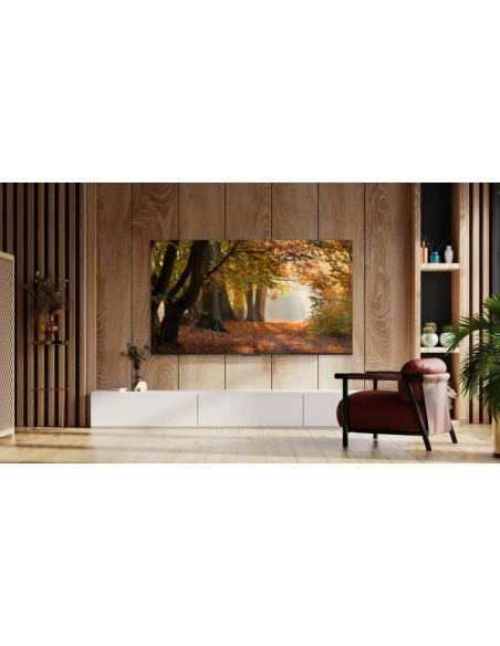TV LED - TCL 43P61B, 43", 4K, HDR,...