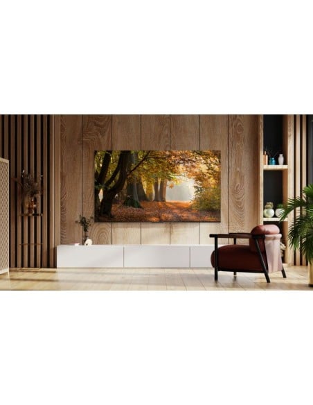 TV LED - TCL 43P61B, 43", 4K, HDR,...