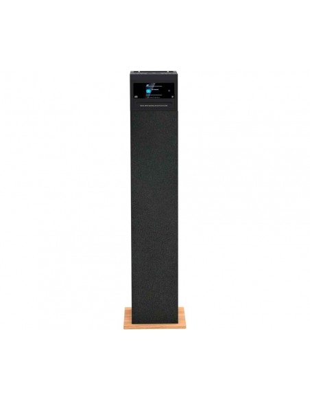 Altavoz Torre Multimedia - AIWA...