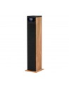 Altavoz Torre Multimedia - AIWA TSBT-360, Madera, 60W RMS
