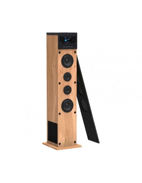 Altavoz Torre Multimedia - AIWA...
