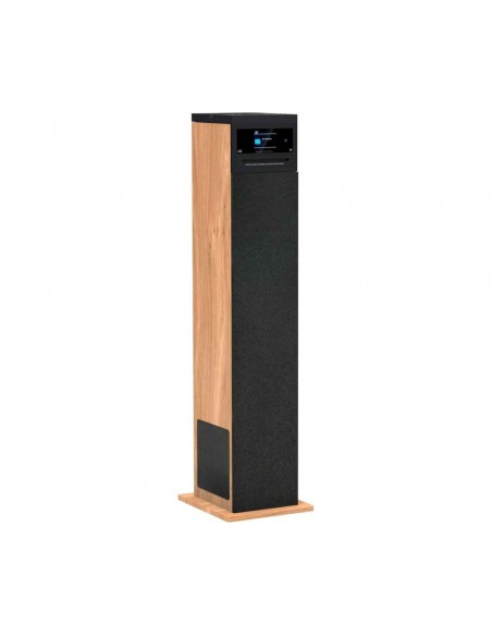 Altavoz Torre Multimedia - AIWA...