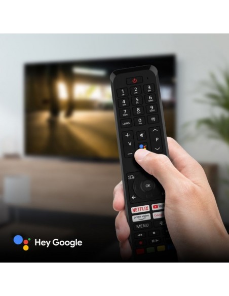 TV OLED - PANASONIC TV-48Z80AEZ, 4K,...