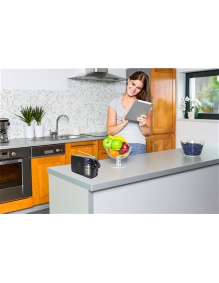 Radio Portátil - ELBE RF-942,...