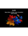 TV QLED - TCL 43P7K, 43", 4K UHD, Google TV
