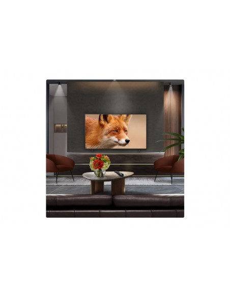 TV OLED - LG OLED65C54LA, 65", EVO,...