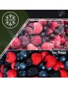 Frigorífico Dos Puertas - ASPES AF17601ENFX, 1.70x60.5 cm, Eficiencia E, Inox