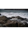Altavoz Portátil - BL CHARGE5 Squad, Bluetooth, 7500 mAh, 30W
