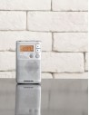 Radio Portátil - SANGEAN DT-250, Plata, LCD