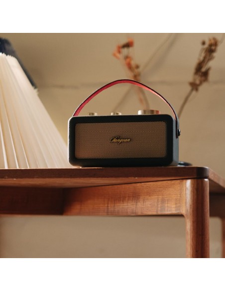 Altavoz Portátil - SANGEAN RA-101,...