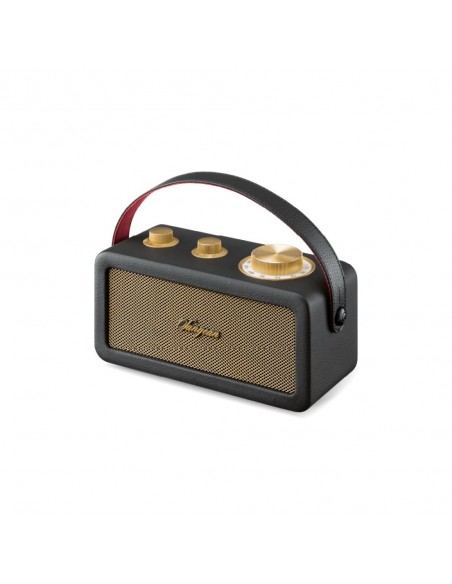 Altavoz Portátil - SANGEAN RA-101,...