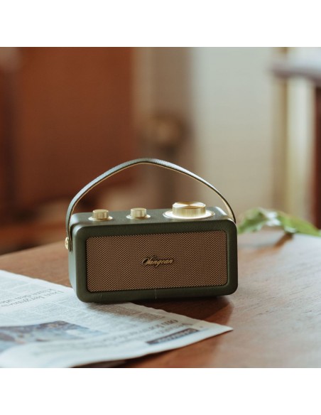 Altavoz Portátil - SANGEAN RA-101,...