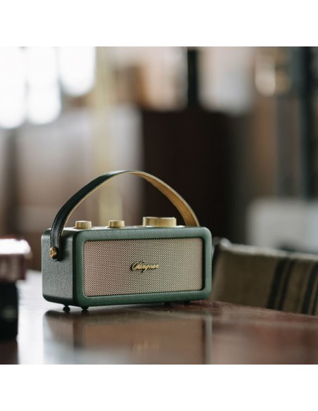 Altavoz Portátil - SANGEAN RA-101,...