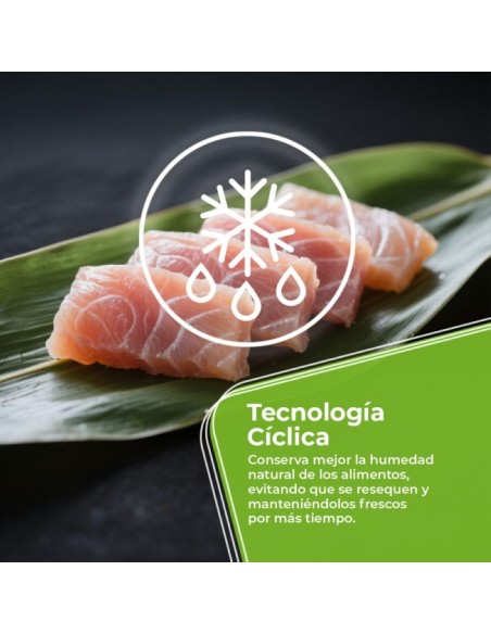 Arcón Congelador - ASPES...