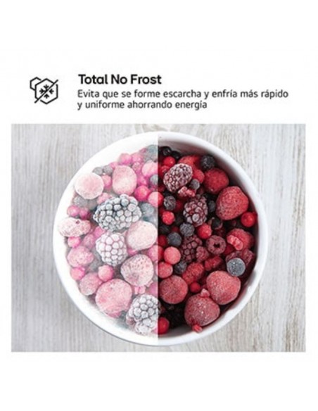 Frigorífico Dos Puertas - LG...